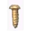 Slotted Screw